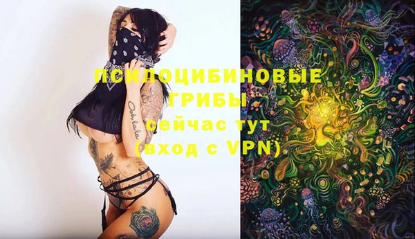 винт Новокубанск