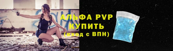 амф Новодвинск