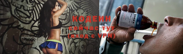 твердый Новозыбков