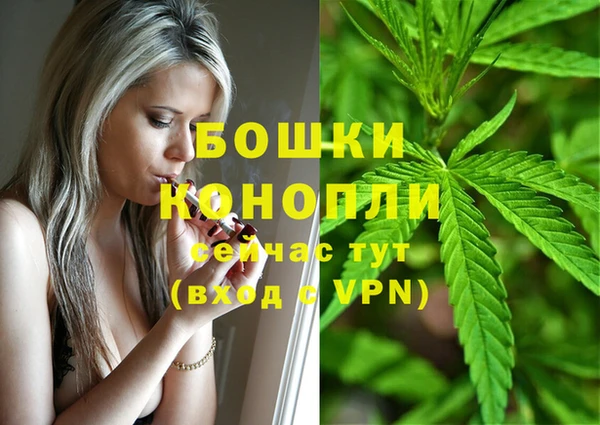 винт Новокубанск
