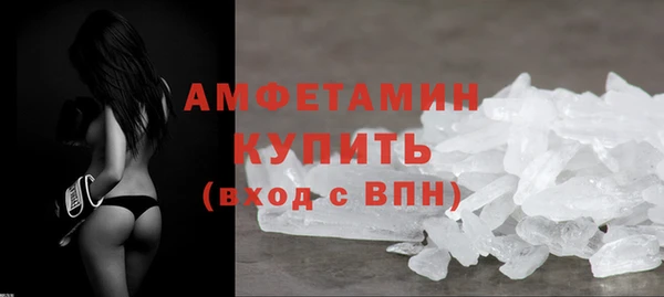 твердый Новозыбков