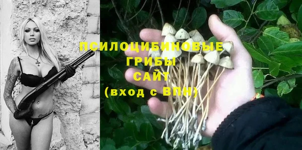 твердый Новозыбков