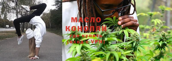 твердый Новозыбков