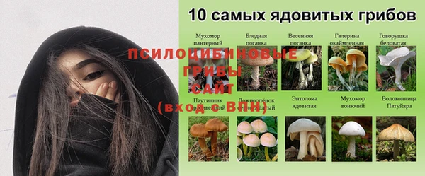 винт Новокубанск