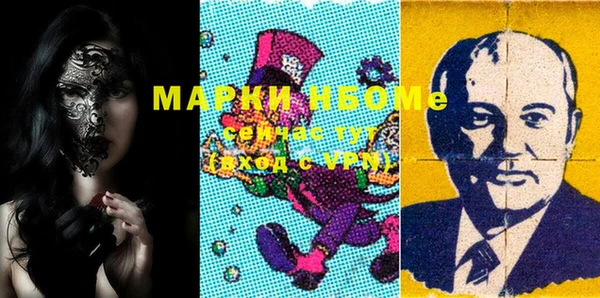 шишки Алексин