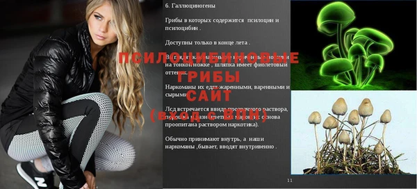 амф Новодвинск