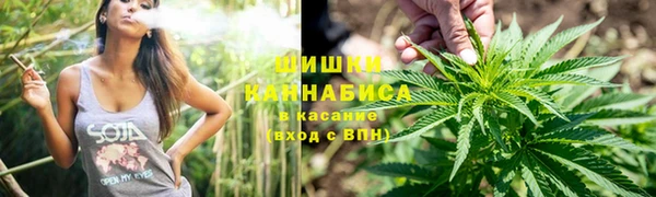 твердый Новозыбков
