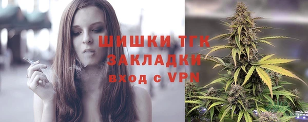 амф Новодвинск