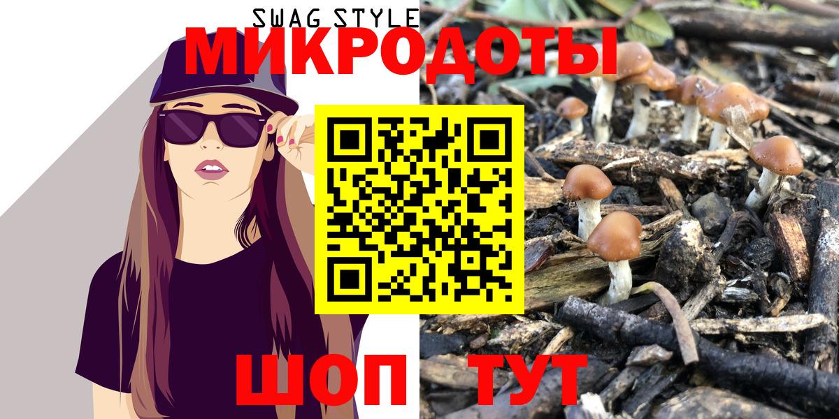 Стрежевой  Псилоцибиновые грибы Psilocybine cubensis  Вход с VPN 